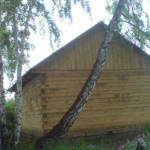 Продам дом 48кв.м., Омск, дп. сдт Березовая роща (САО)
